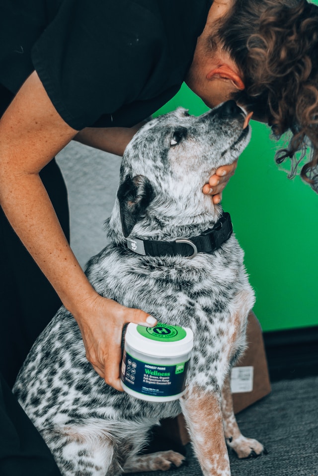 Groomer comforting a speckled dog during an appointment
